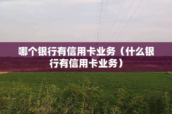 哪个银行有***业务（什么银行有***业务）