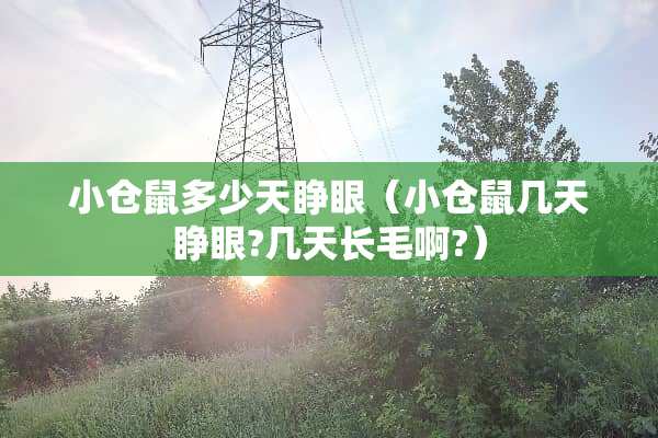 小仓鼠多少天睁眼（小仓鼠几天睁眼?几天长毛啊?）