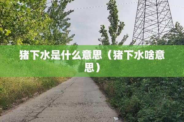 猪下水是什么意思（猪下水啥意思）