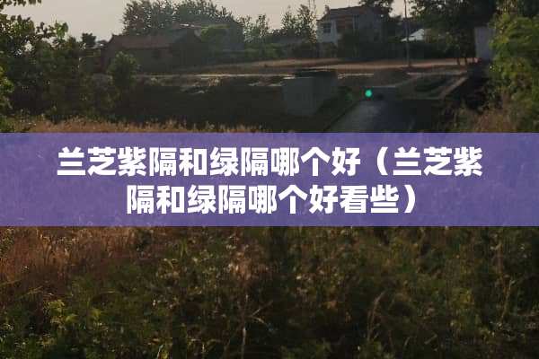 兰芝紫隔和绿隔哪个好（兰芝紫隔和绿隔哪个好看些）