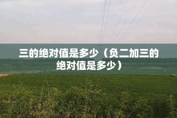 三的绝对值是多少（负二加三的绝对值是多少）