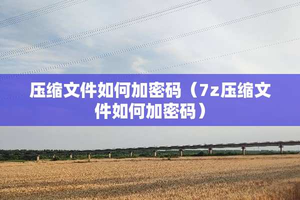 压缩文件如何加密码（7z压缩文件如何加密码）