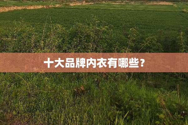 十大品牌**有哪些？