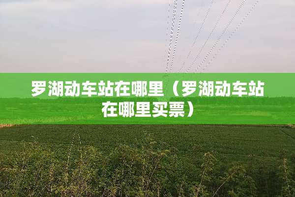 罗湖动车站在哪里（罗湖动车站在哪里买票）