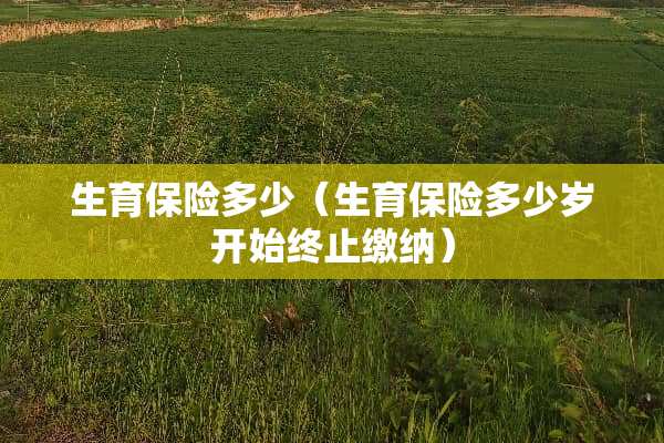 生育保险多少（生育保险多少岁开始终止缴纳）