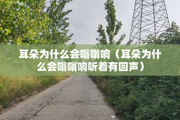 耳朵为什么会嗡嗡响（耳朵为什么会嗡嗡响听着有回声）