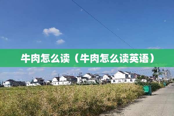 牛肉怎么读（牛肉怎么读英语）