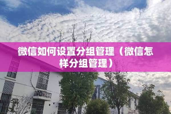 微信如何设置分组管理（微信怎样分组管理）