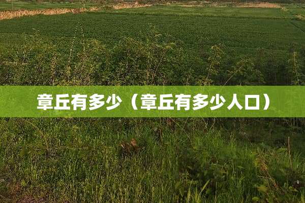 章丘有多少（章丘有多少人口）