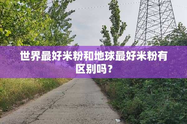 世界最好米粉和地球最好米粉有区别吗？