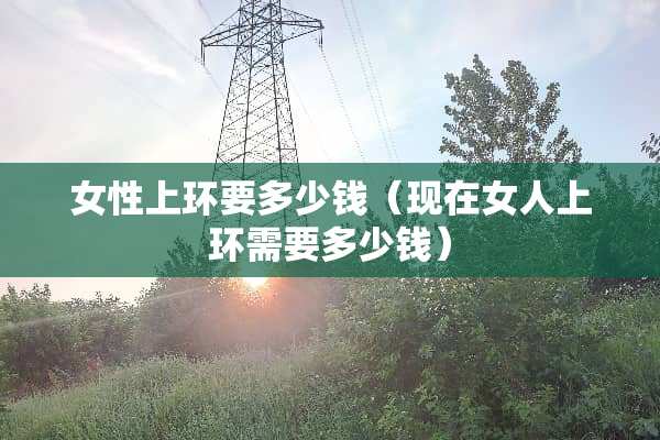 女性上环要多少钱（现在女人上环需要多少钱）