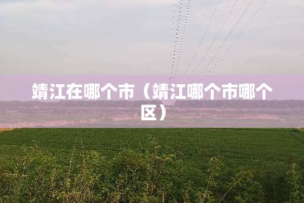 靖江在哪个市（靖江哪个市哪个区）