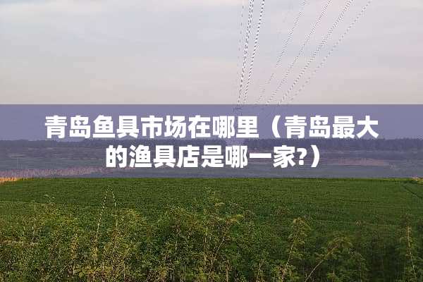 青岛鱼具市场在哪里（青岛最大的渔具店是哪一家?）