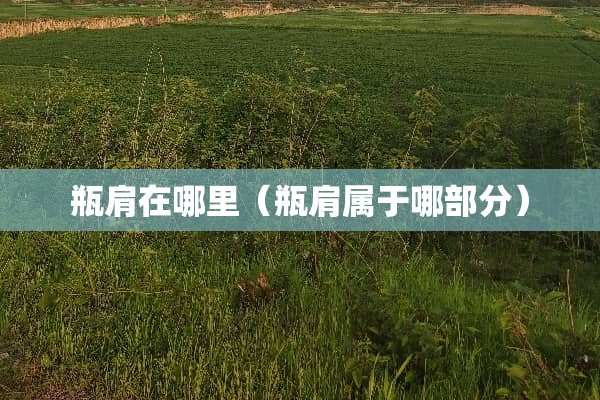 瓶肩在哪里（瓶肩属于哪部分）