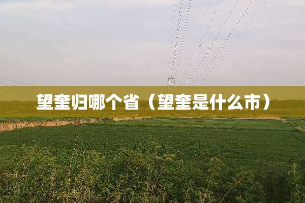 望奎归哪个省（望奎是什么市）