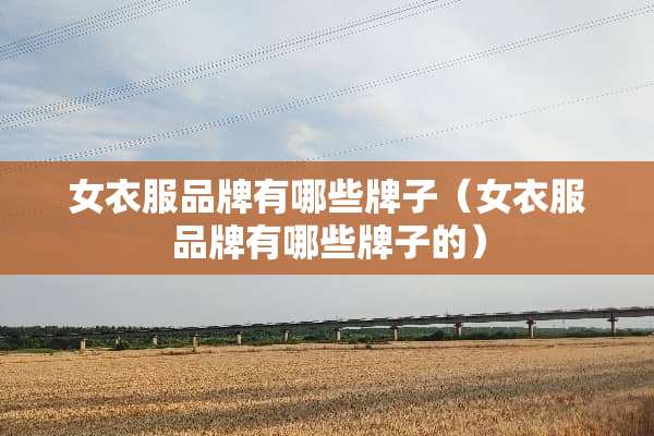 女衣服品牌有哪些牌子（女衣服品牌有哪些牌子的）