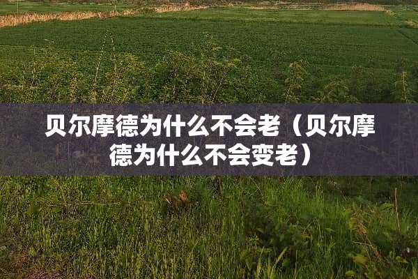 贝尔摩德为什么不会老（贝尔摩德为什么不会变老）