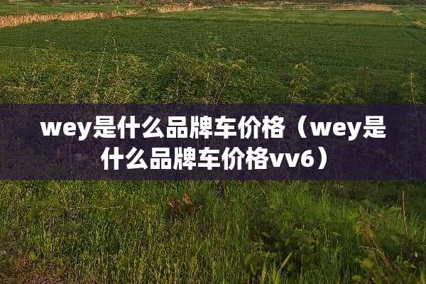 wey是什么品牌车价格（wey是什么品牌车价格vv6）