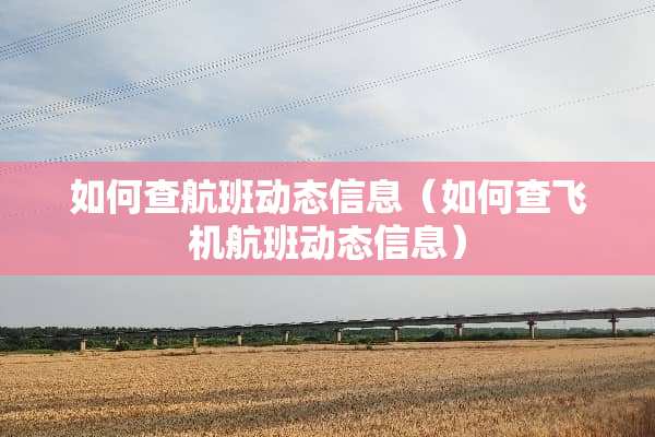 如何查航班动态信息（如何查飞机航班动态信息）