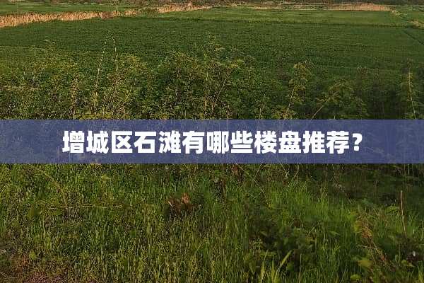 增城区石滩有哪些楼盘推荐？