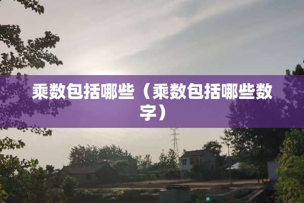 乘数包括哪些（乘数包括哪些数字）