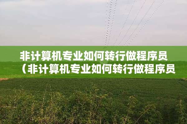 非计算机专业如何转行做程序员（非计算机专业如何转行做程序员的）