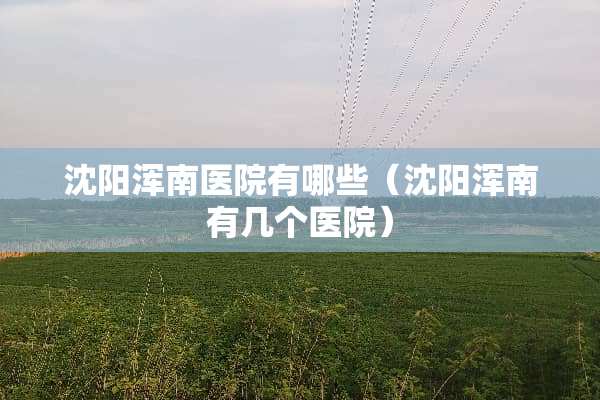 沈阳浑南医院有哪些（沈阳浑南有几个医院）