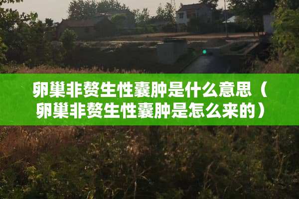 卵巢非赘生性囊肿是什么意思（卵巢非赘生性囊肿是怎么来的）