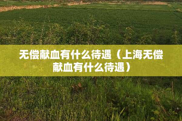 无偿献血有什么待遇（上海无偿献血有什么待遇）