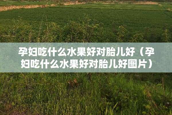 孕妇吃什么水果好对胎儿好（孕妇吃什么水果好对胎儿好图片）