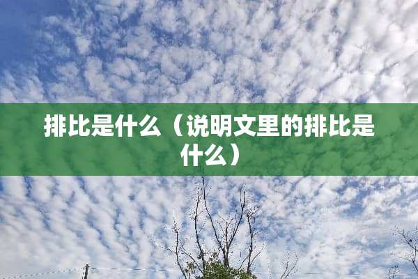 排比是什么（说明文里的排比是什么）