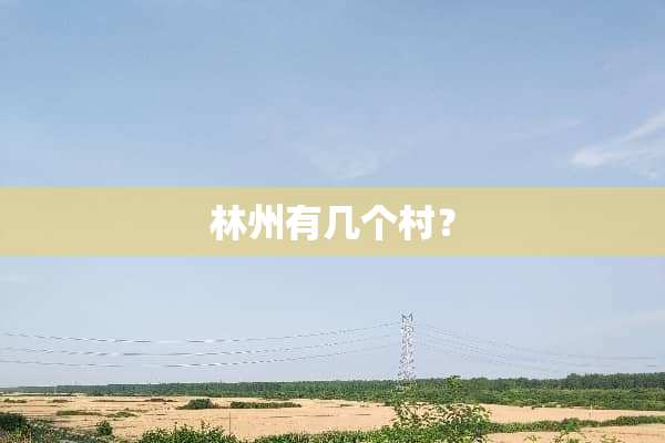 林州有几个村？