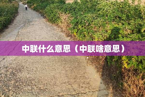 中联什么意思（中联啥意思）