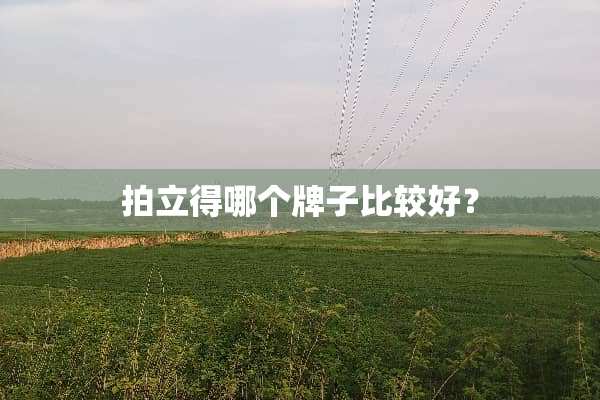 拍立得哪个牌子比较好？