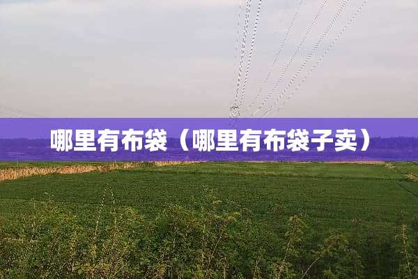 哪里有布袋（哪里有布袋子卖）