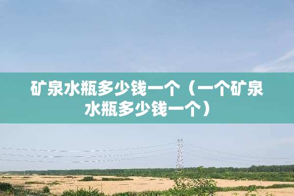 矿泉水瓶多少钱一个（一个矿泉水瓶多少钱一个）