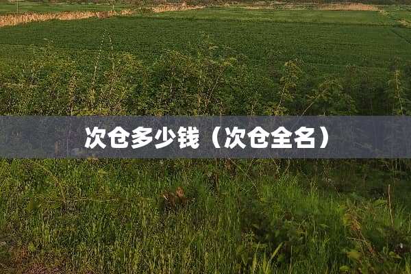 次仓多少钱（次仓全名）