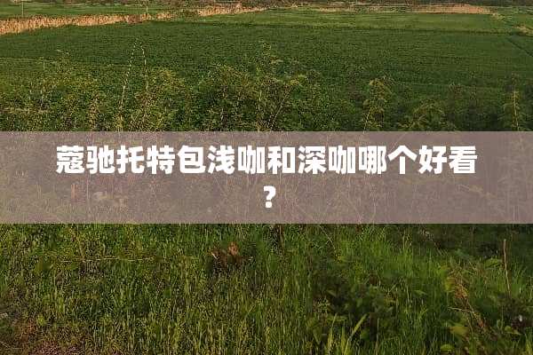 蔻驰托特包浅咖和深咖哪个好看？