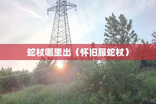 蛇杖哪里出（**服蛇杖）