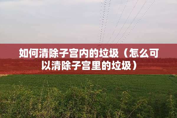 如何清除子宫内的垃圾（怎么可以清除子宫里的垃圾）