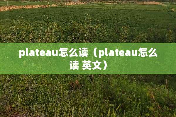 plateau怎么读（plateau怎么读 英文）