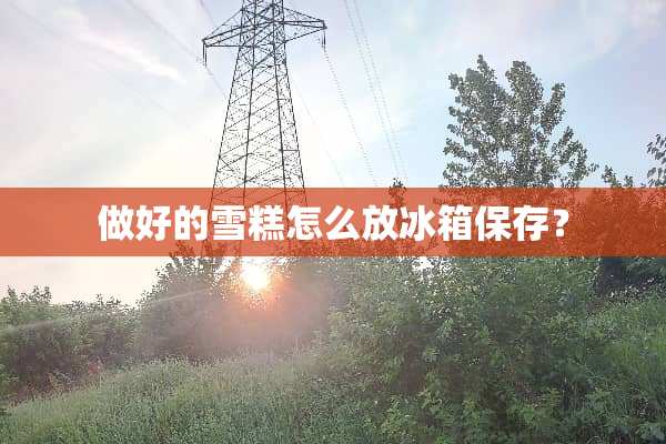 做好的雪糕怎么放冰箱保存？