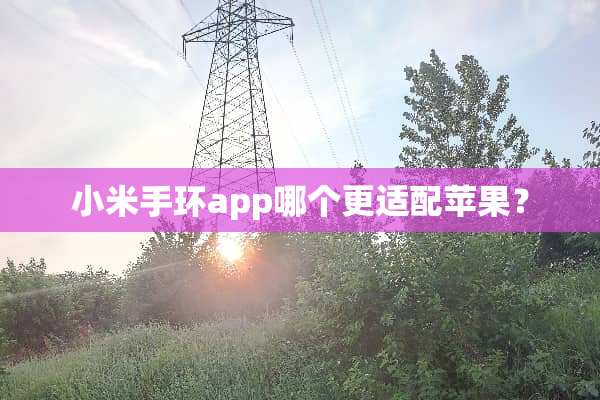 小米手环app哪个更适配苹果？