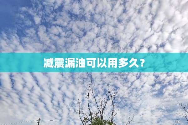 减震漏油可以用多久？