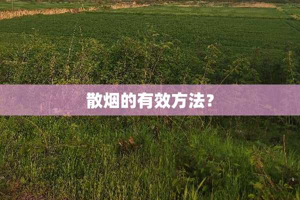 散烟的有效方法？