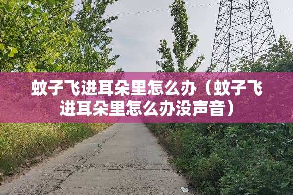 蚊子飞进耳朵里怎么办（蚊子飞进耳朵里怎么办没声音）