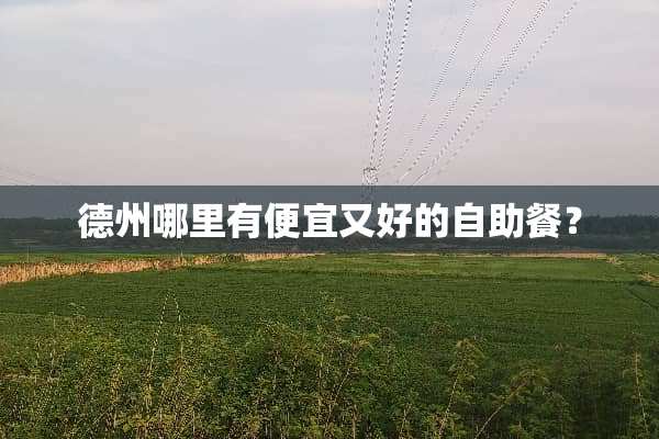 德州哪里有便宜又好的自助餐？