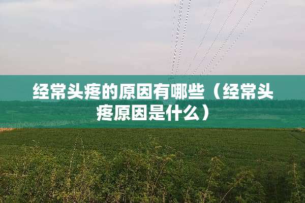 经常头疼的原因有哪些（经常头疼原因是什么）