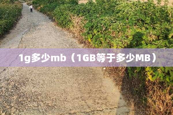 1g多少mb（1GB等于多少MB）
