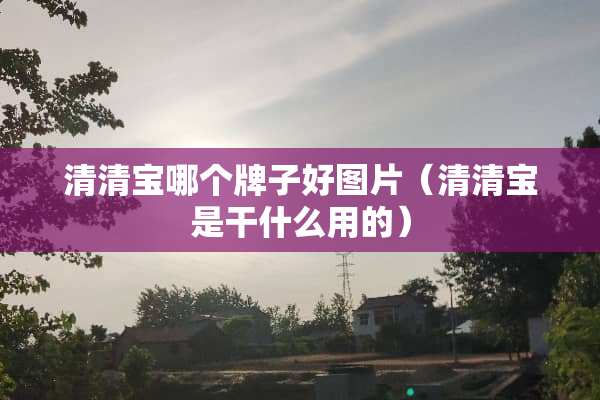 清清宝哪个牌子好图片（清清宝是干什么用的）